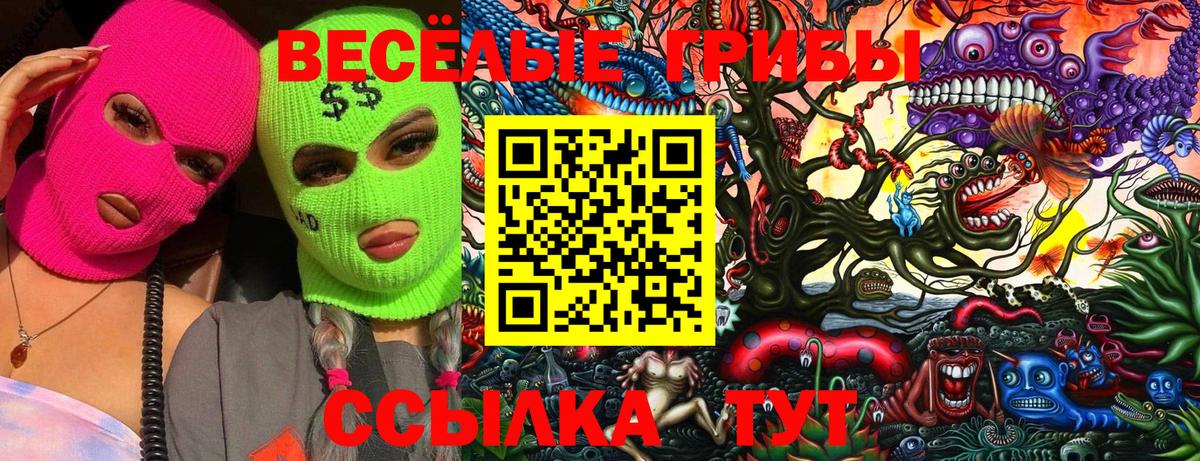 Псилоцибиновые грибы Cubensis Котовск