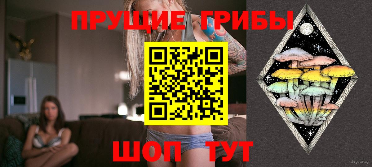 Котовск  Галлюциногенные грибы Psilocybe  Вход с VPN 